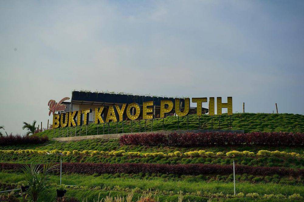 Bukit Kayu Putih (instagram.com/bukitkayoeputih)