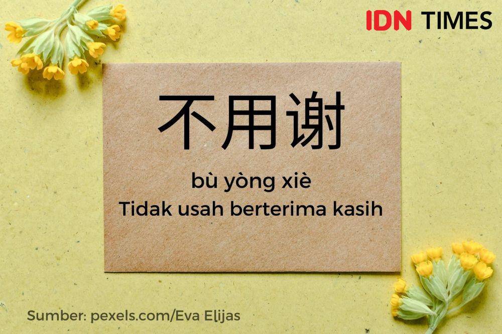 Balasan Xie xie (IDN Times/Adyaning Raras)