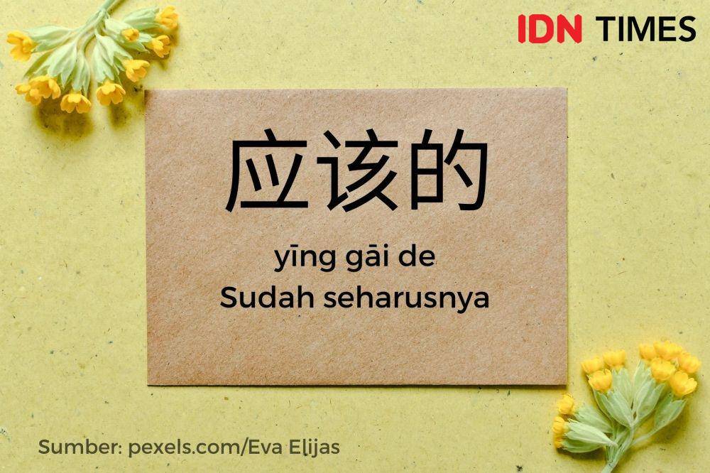 Balasan Xie xie (IDN Times/Adyaning Raras)