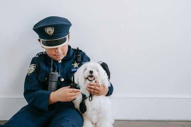 ilustrasi anjing menjulurkan lidah (pexels.com/Katya Wolf)
