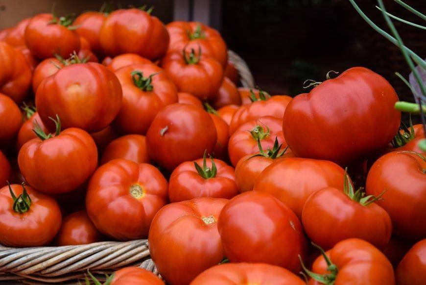 Ilustrasi tomato (unsplash.com/jma1053)