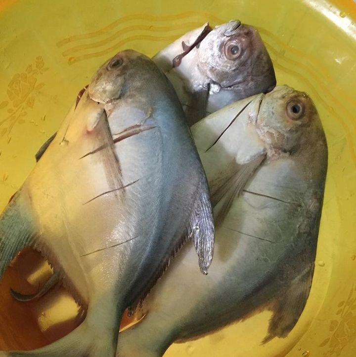 Foto ikan bawal putih setelah dibersihkan (Instagram.com/h_neda09)