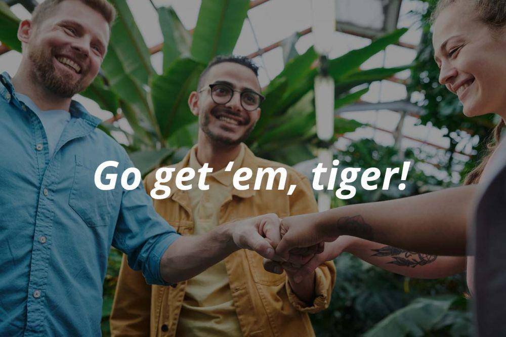 12 cara lain mengucapkan semoga beruntung selain 'good luck' (pexels.com/fauxels)