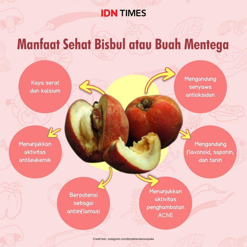 infografis manfaat buah bisbul (IDN Times/Mardya Shakti)