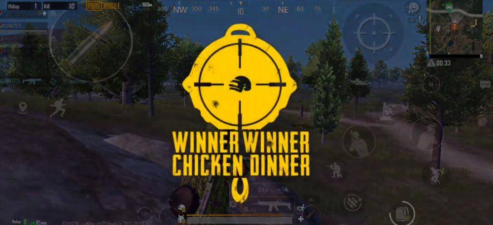 memenangkan pertandingan PUBG Mobile (dok. PUBG Corporation/PUBG Mobile)