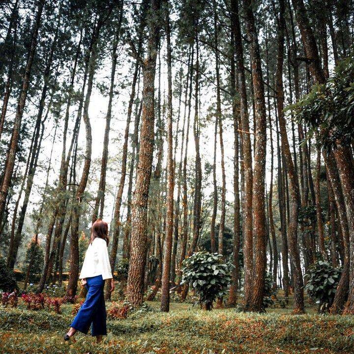 Pesona Alam Resort Bogor, lokasi lamaran Syifa adik Ayu Ting Ting. (Instagram.com/pesonaalamresort)
