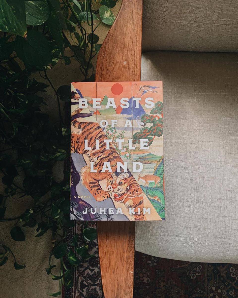 novel Beasts of Little Land (instagram.com/concerningnovels)