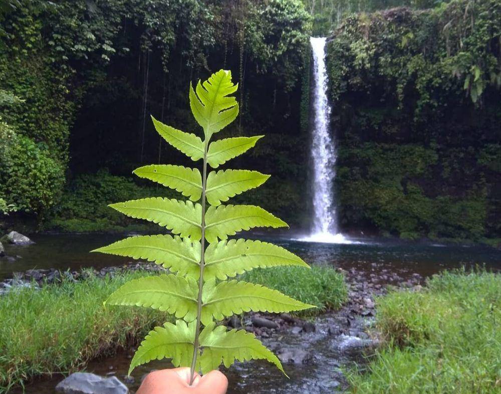 Curug Ceheng (instagram.com/em_fahmii)