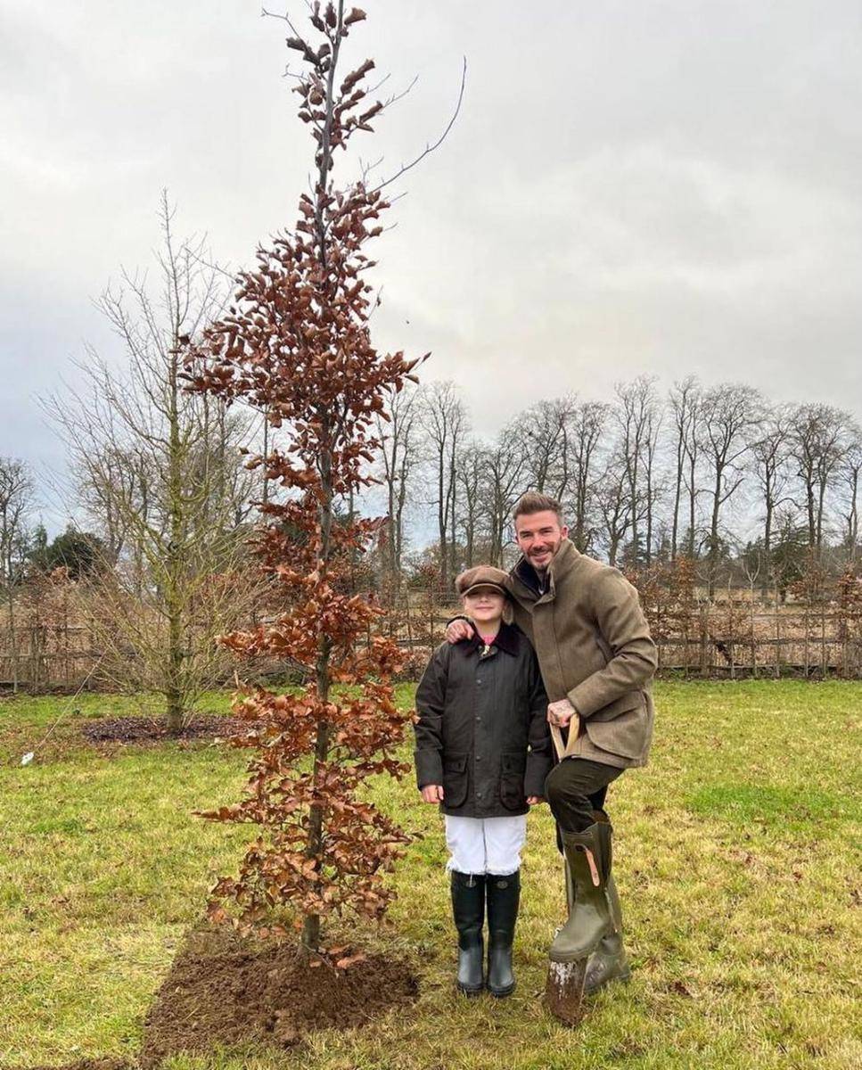 potret Beckham dan Harper (instagram.com/davidbeckham)