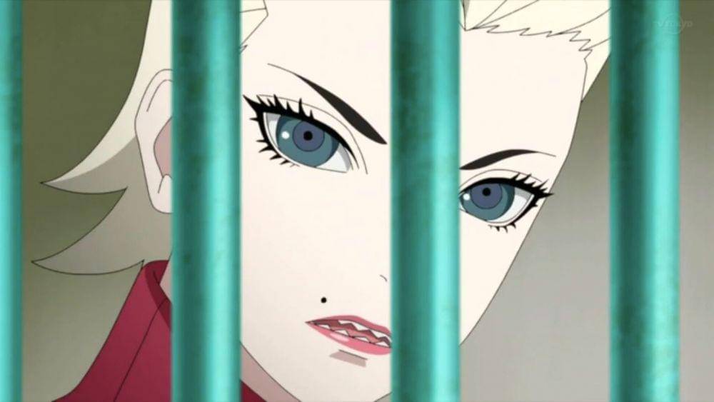 Dok. studio pierrot/Boruto: Naruto Next Generations