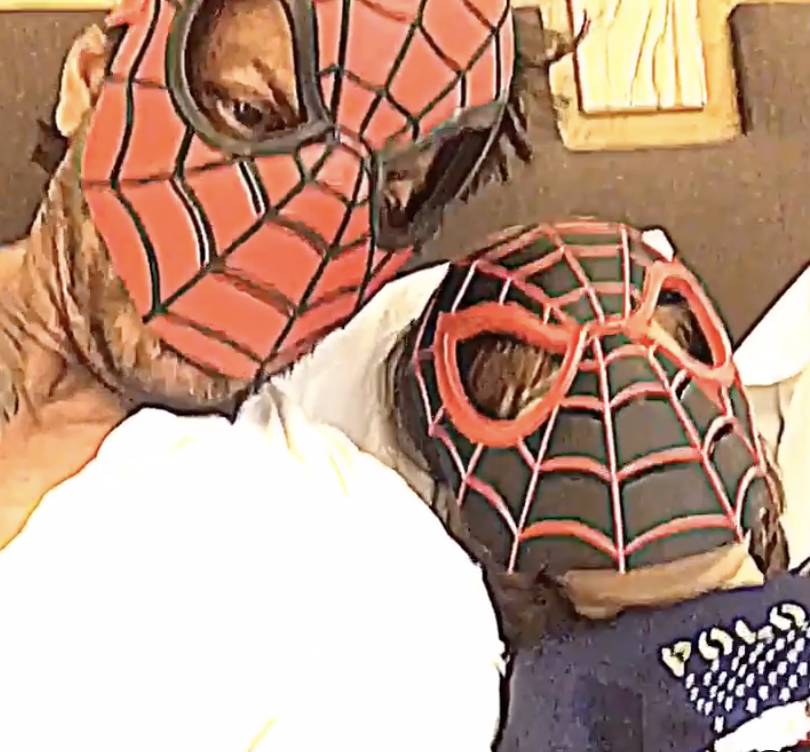 Shah Rukh Khan dan Abram Khan (instagram.com/iamsrk)