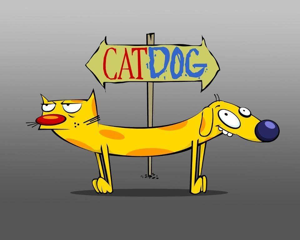 acara TV temani siap-siap ke sekolah (instagram.com/nickanimation)