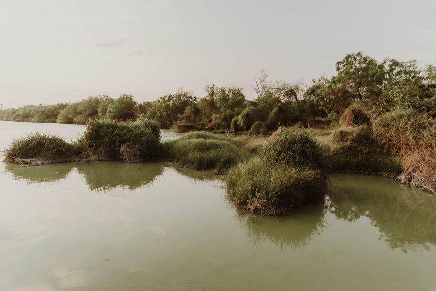 tanda ada buaya di rawa (unsplash.com/@benignohoyuela)