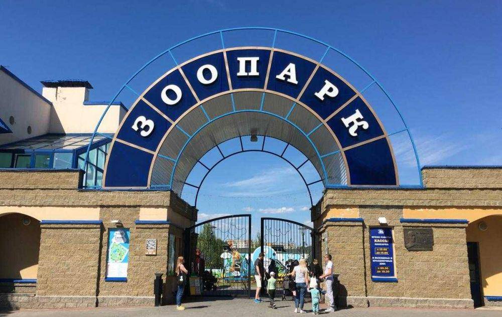 Grodno Zoo (instagram.com/grodnozoo)