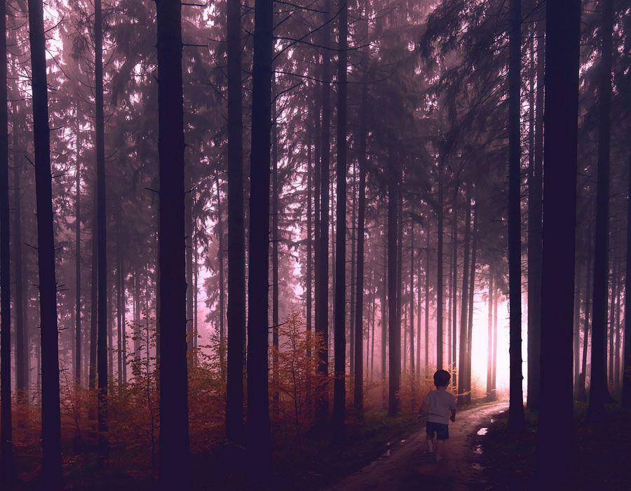 ilustrasi (pixabay.com/mskathrynne)