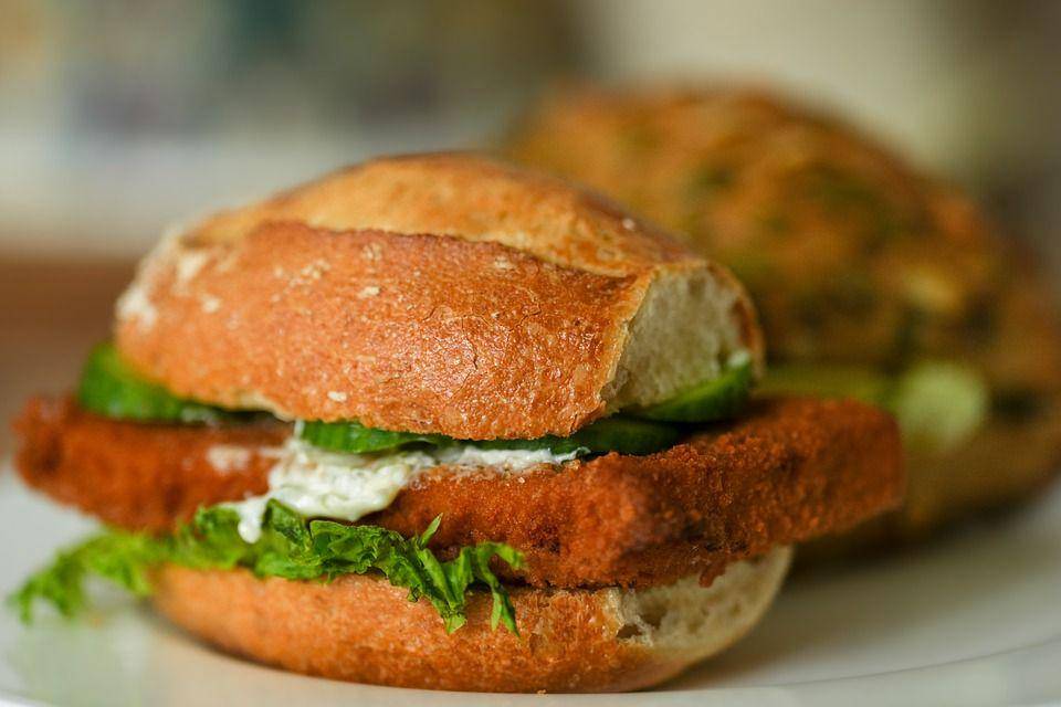 ilustrasi burger patty oncom (pixabay.com/Mariya 🌸🌺🌼)