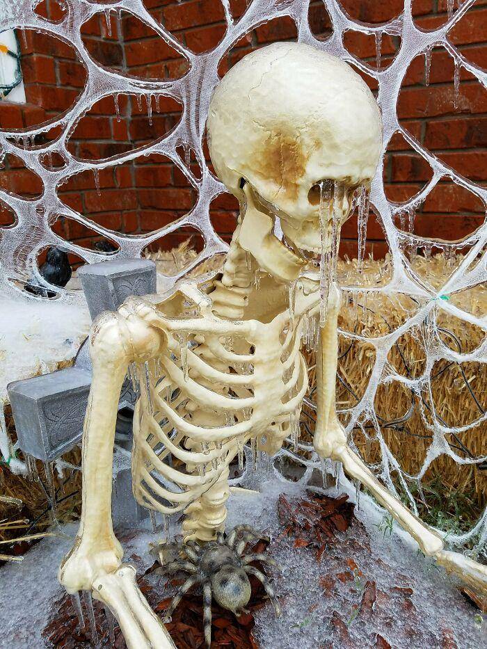 dekorasi halloween terepik (reddit.com/benneluke)