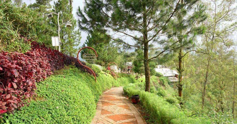 Taman Langit (instagram.com/gunungbanyak)