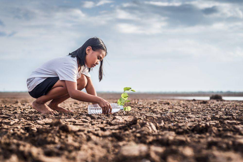 Seorang anak sedang menyirami tumbuhan di lahan yang tandus (Shutterstock/palidachan)