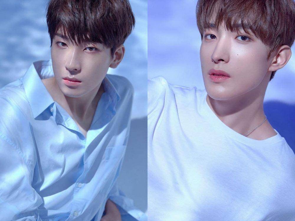 Wonwoo dan DK Seventeen (twitter.com/pledis_17)