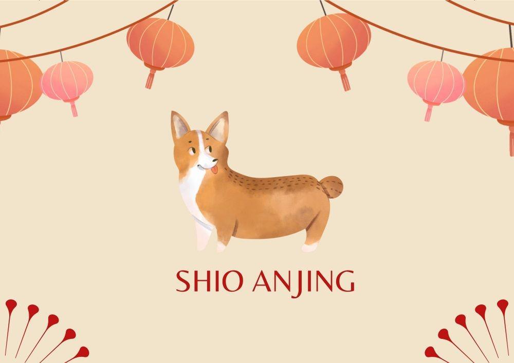 Ramalan Shio Anjing di Tahun Macan Air, Jangan Forsir Diri