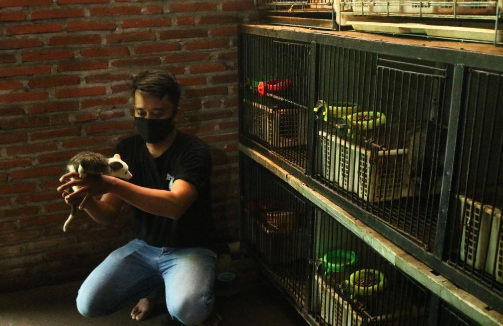Eka Bayu, Meraup Untung dari Ternak Musang
