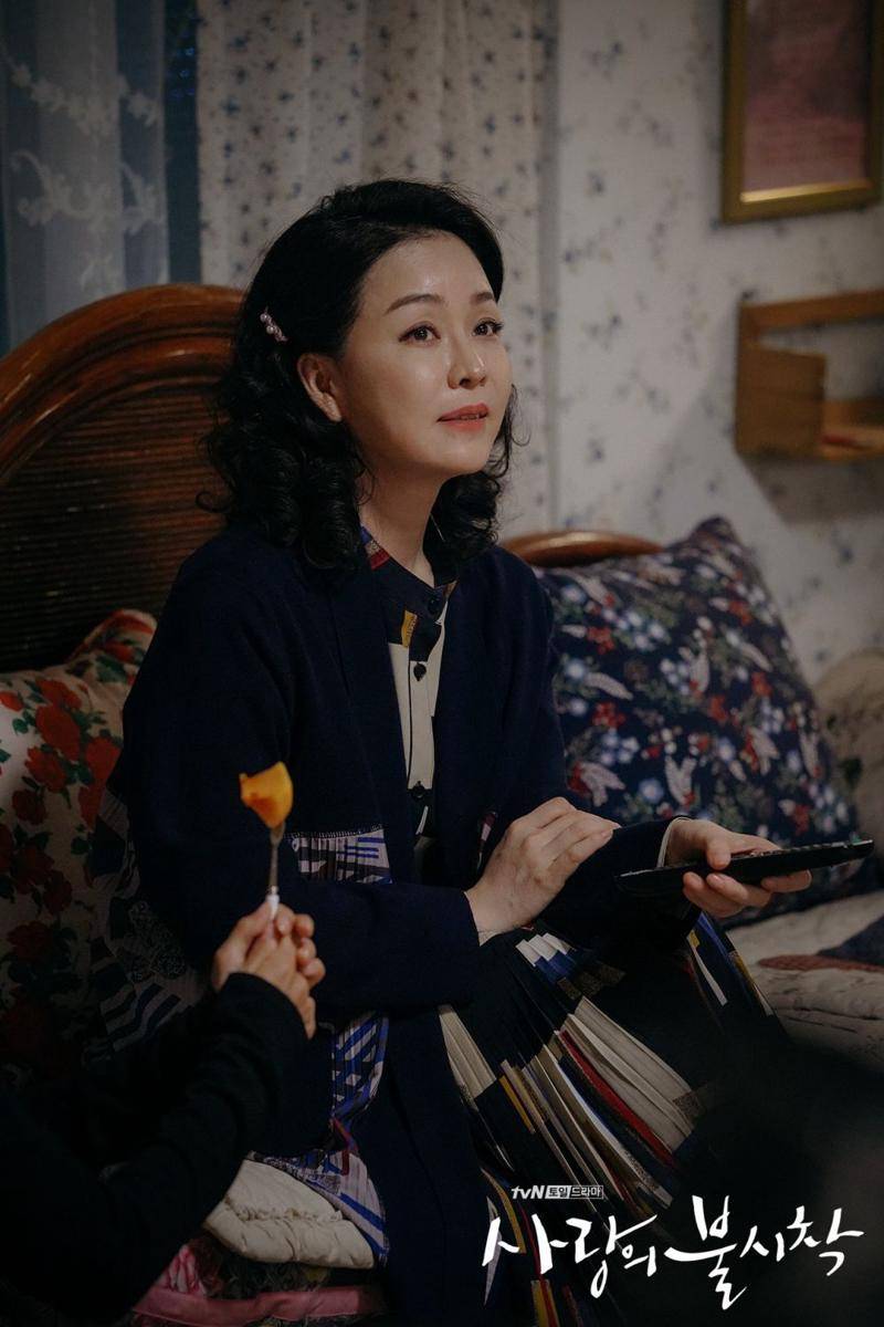Kim Jung Nan (twitter.com/CJnDrama)