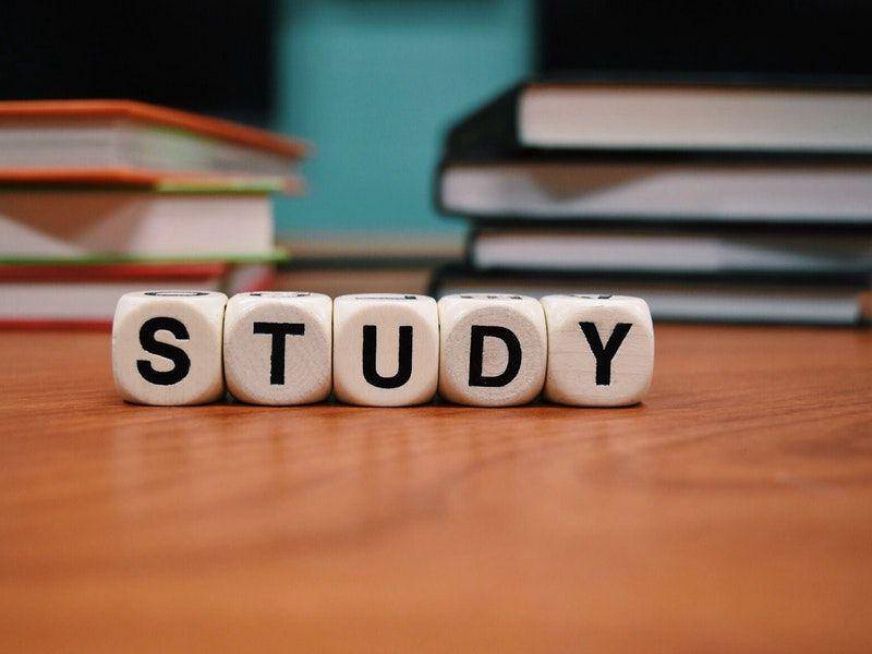 ilustrasi study (pexels.com/Pixabay)