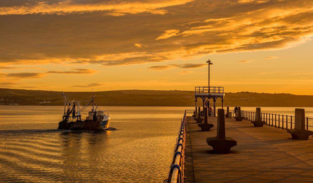ilustrasi dermaga (pixabay.com/Tim Hill)