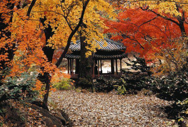 Changgyeong Palace (world.kbs.co.kr)