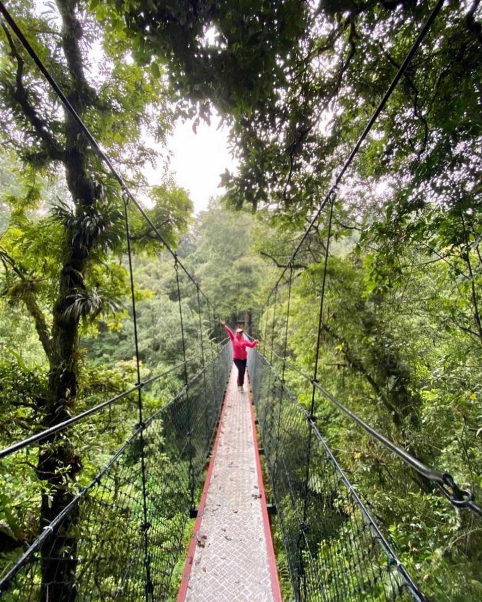 Canopy Trail (instagram.com/yeniniye)