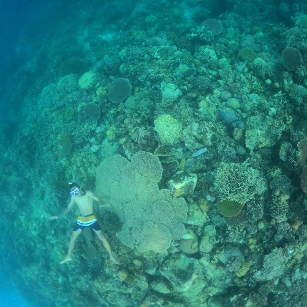 potret Pantai Kurenai (instagram.com/handok_ijo)