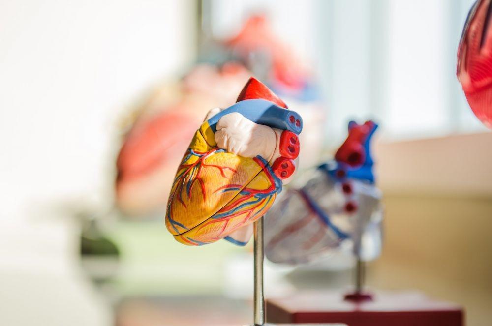Patent Foramen Ovale: Penyebab, Gejala, Diagnosis, Pengobatan