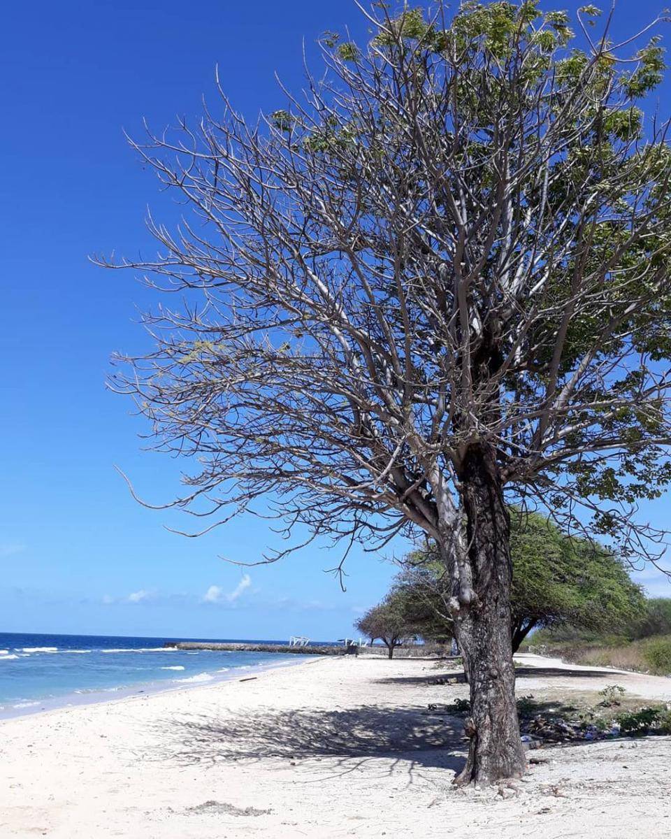 potret Pantai Kurenai (instagram.com/rahmirzl)