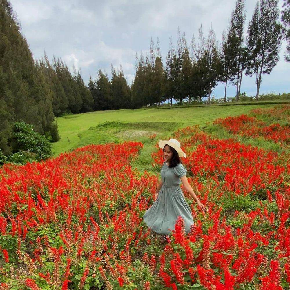 Taman simalem resort (instagram.com/nataashas_)