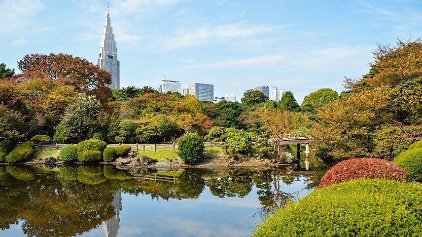 5 Tempat Wisata Outdoor Cantik di Jepang, Cocok Untuk Hunting Foto