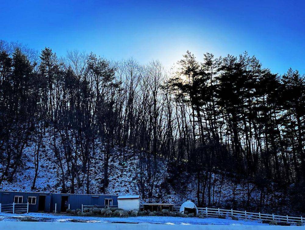Daegwallyeong Sky Ranch (instagram.com/evelynhosm)