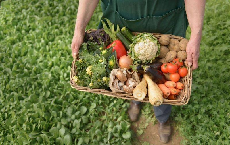 Kuliner Sehat yang Diprediksi Bakal Ngetren di 2022 (goodto.com)
