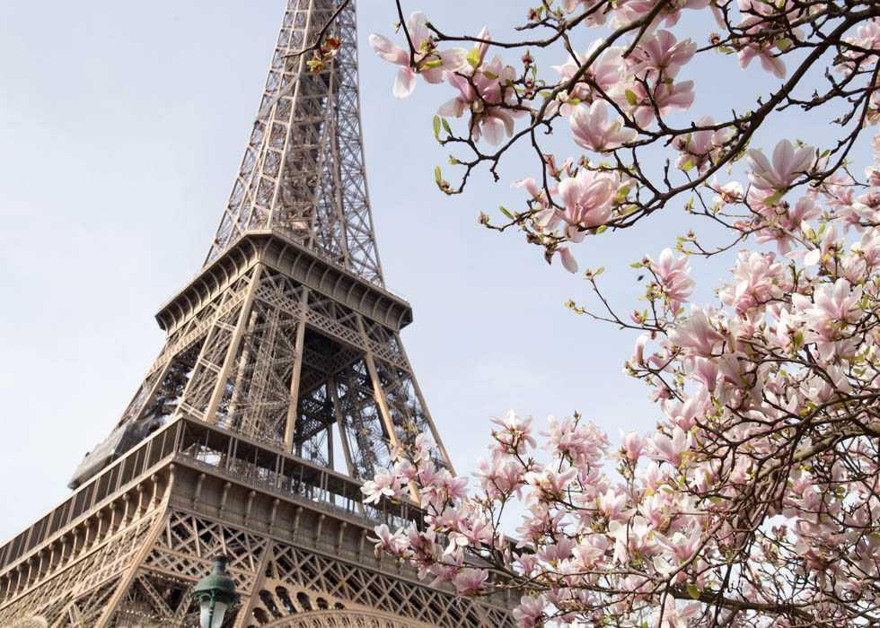 musim semi Paris (obonparis.com)