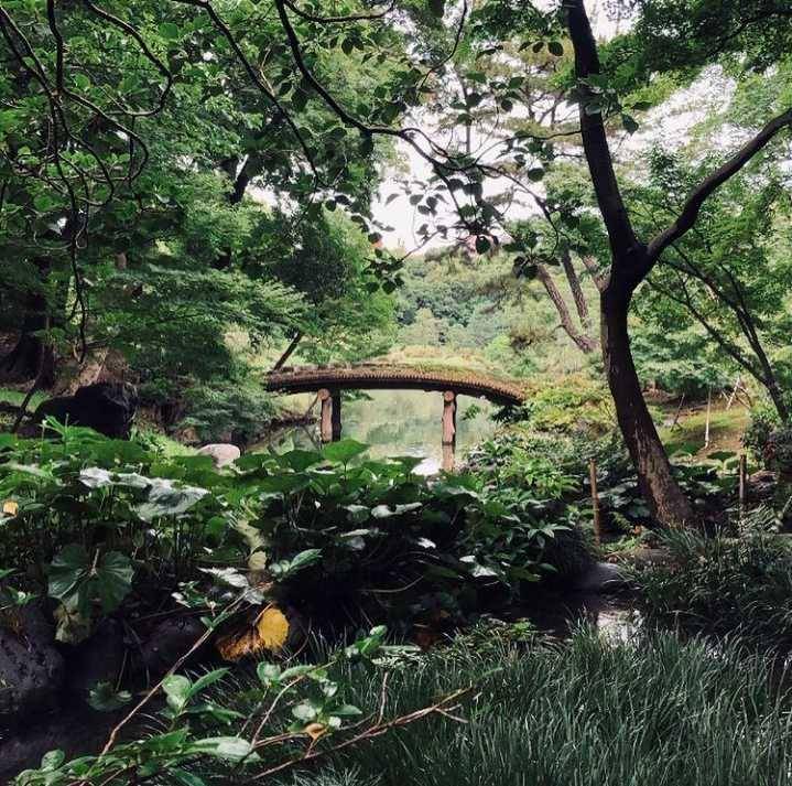 Rikugien, Tokyo (instagram.com/rorisu_in_japan)