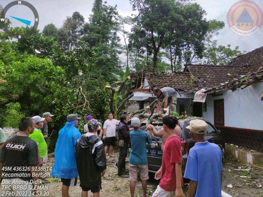 Pohon tumbang di Kabupaten Sleman. Dok: BPBD Sleman