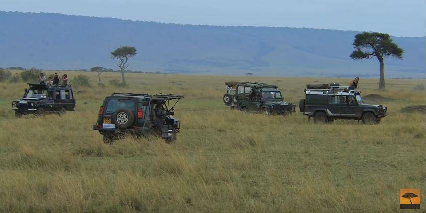 mobil safari di Maasai Mara National Game Reserve, Kenya (youtube.com/africannature)