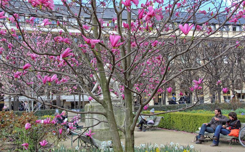 musim semi Paris (thegoodlifefrance.com)
