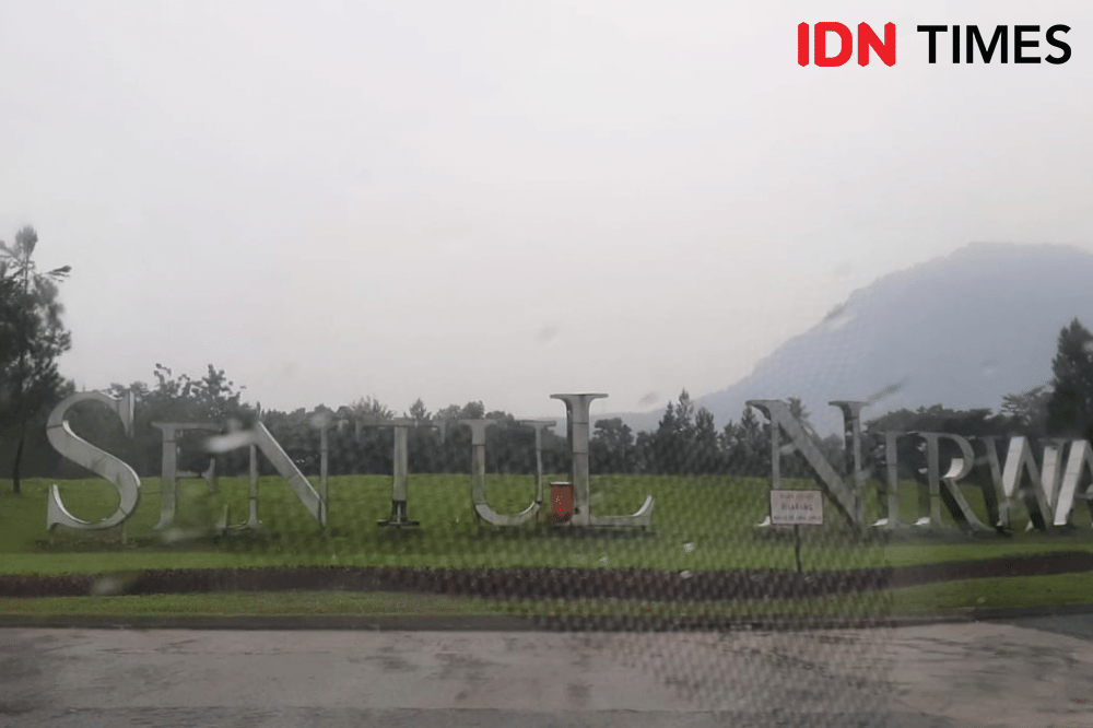 ilustrasi Sentul (IDN Times/Sunariyah)
