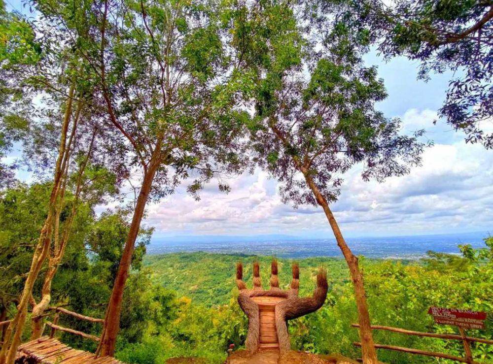Hutan Pinus Pengger (instagram.com/langgaeka)