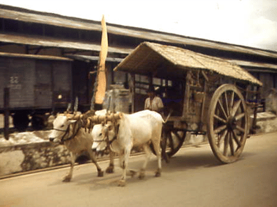 Dari Pedati hingga Bendi, Ini 5 Transportasi Jadul Bertenaga | IDN Times