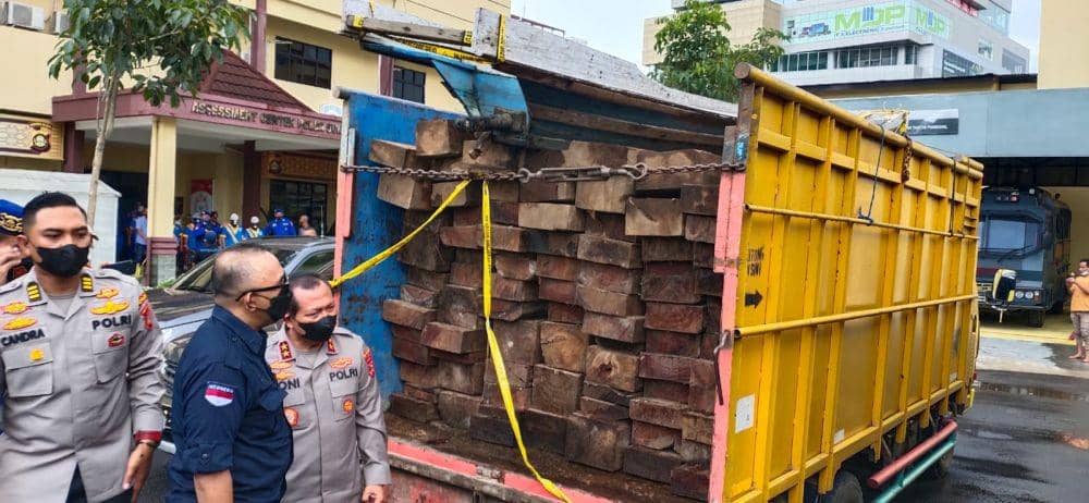 13 Tahun Pembalakan Liar Perbatasan Sumsel-Jambi Akhirnya Dibongkar
