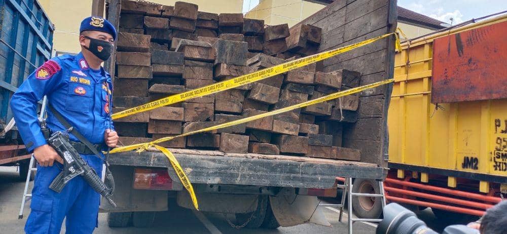 Kayu-kayu barang bukti pembalakan liar di perbatasan Muba dan Jambi (IDN Times/istimewa)