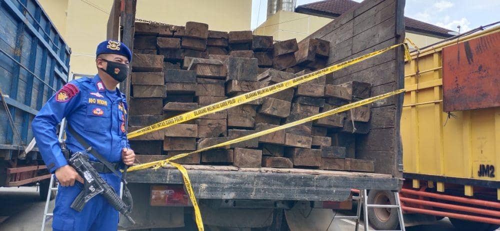 Kayu-kayu barang bukti pembalakan liar di perbatasan Muba dan Jambi (IDN Times/istimewa)