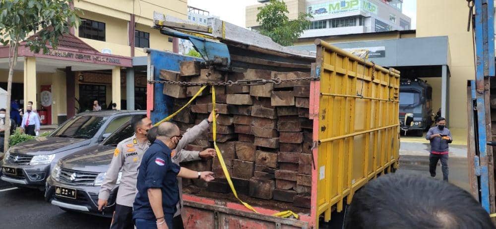 Kayu-kayu barang bukti pembalakan liar di perbatasan Muba dan Jambi (IDN Times/istimewa)